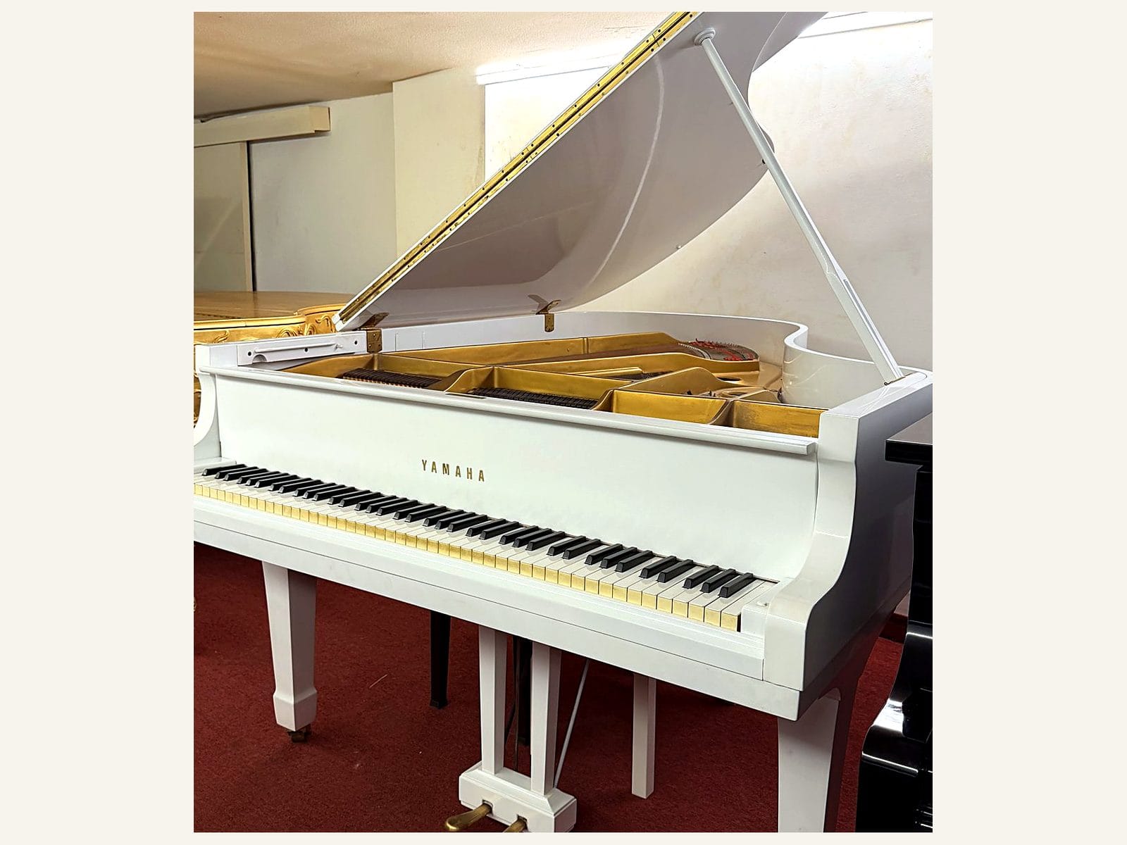 Yamaha G3, Yamaha G3, White, view 2, Basbous & Sons Lebanon