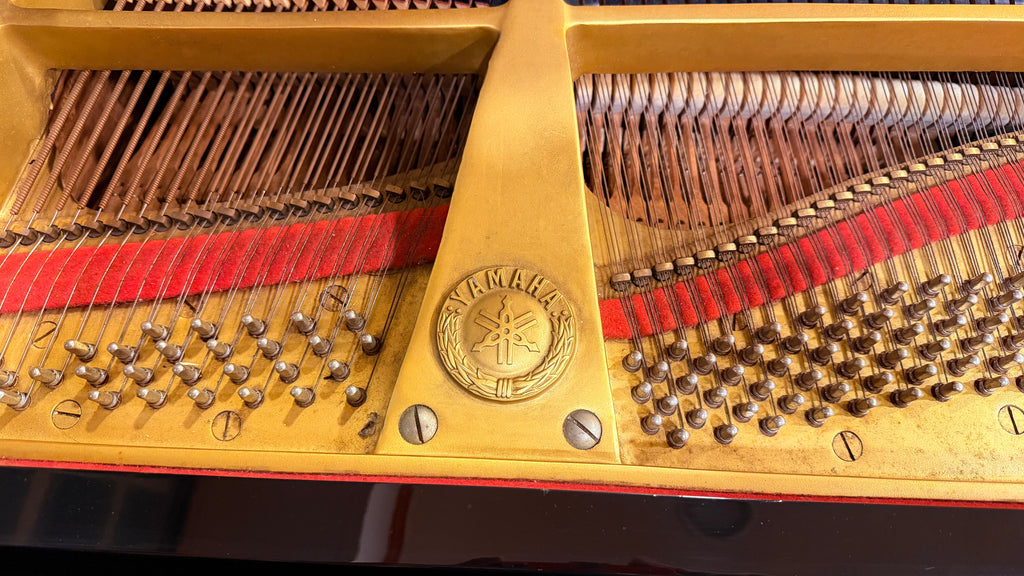 Yamaha C7 - Ebony Polish Concert Grand (Serial No. B2462976)