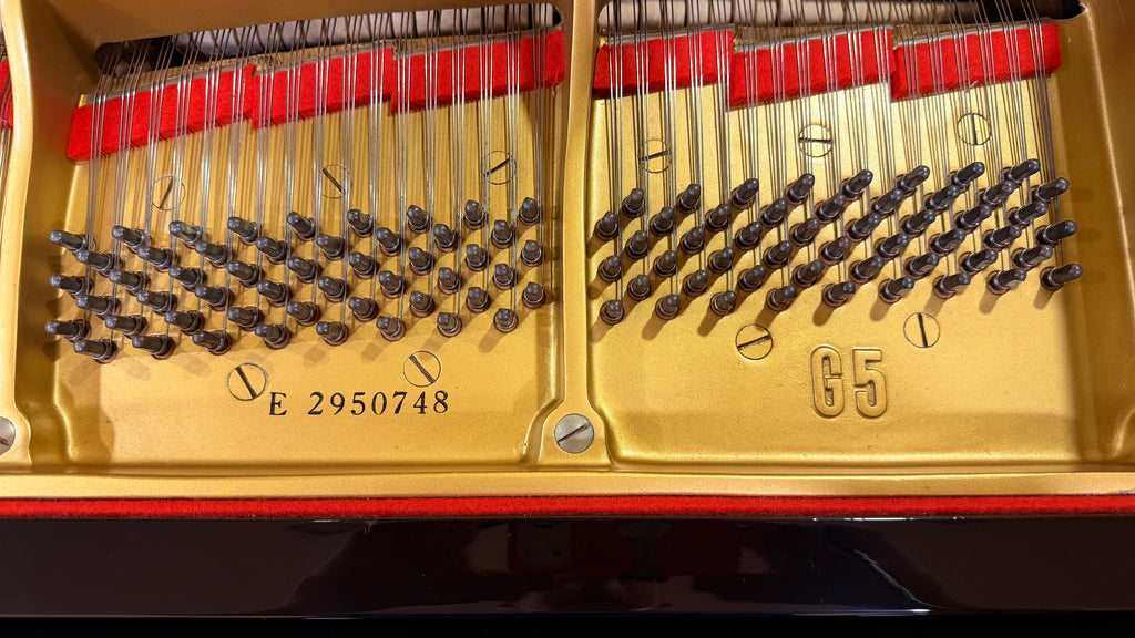 Yamaha G5 - Ebony Polish Semi-Concert Grand (Serial No. E2950748)