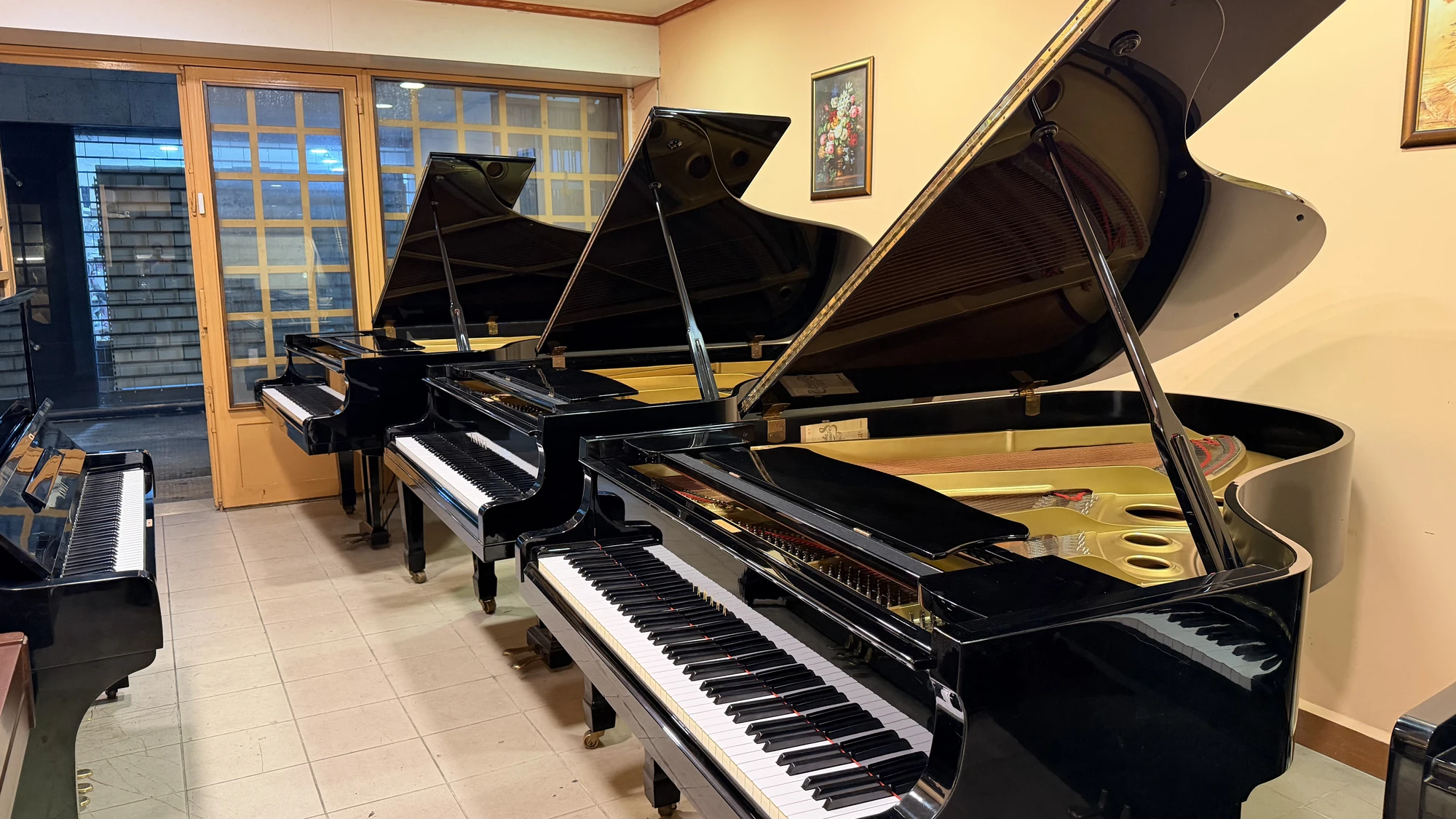 The Basbous & Sons showroom in Byblos, a row of Yamaha grand pianos with their lids open