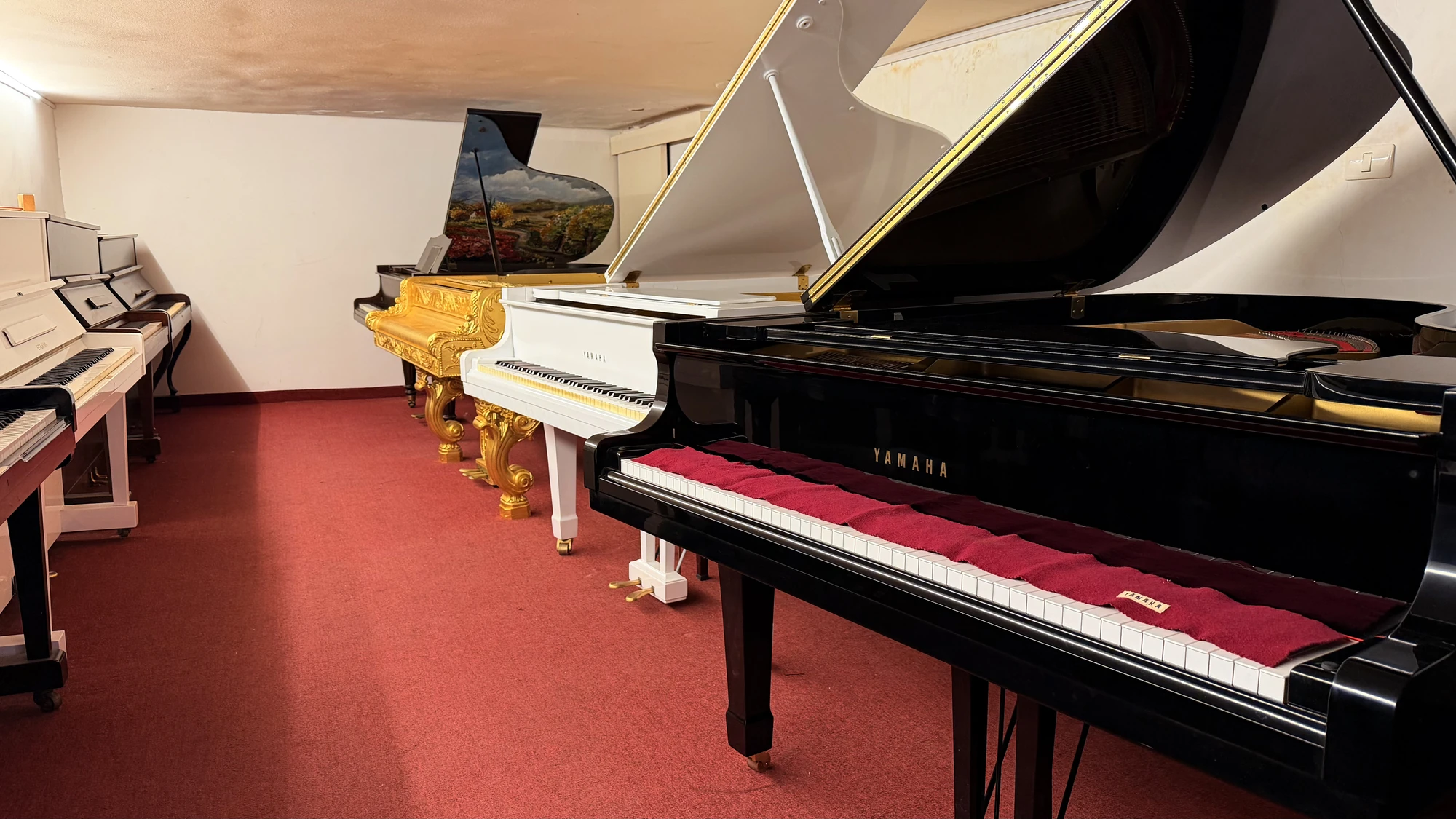 The second showroom at Basbous & Sons, grand pianos on a red carpet