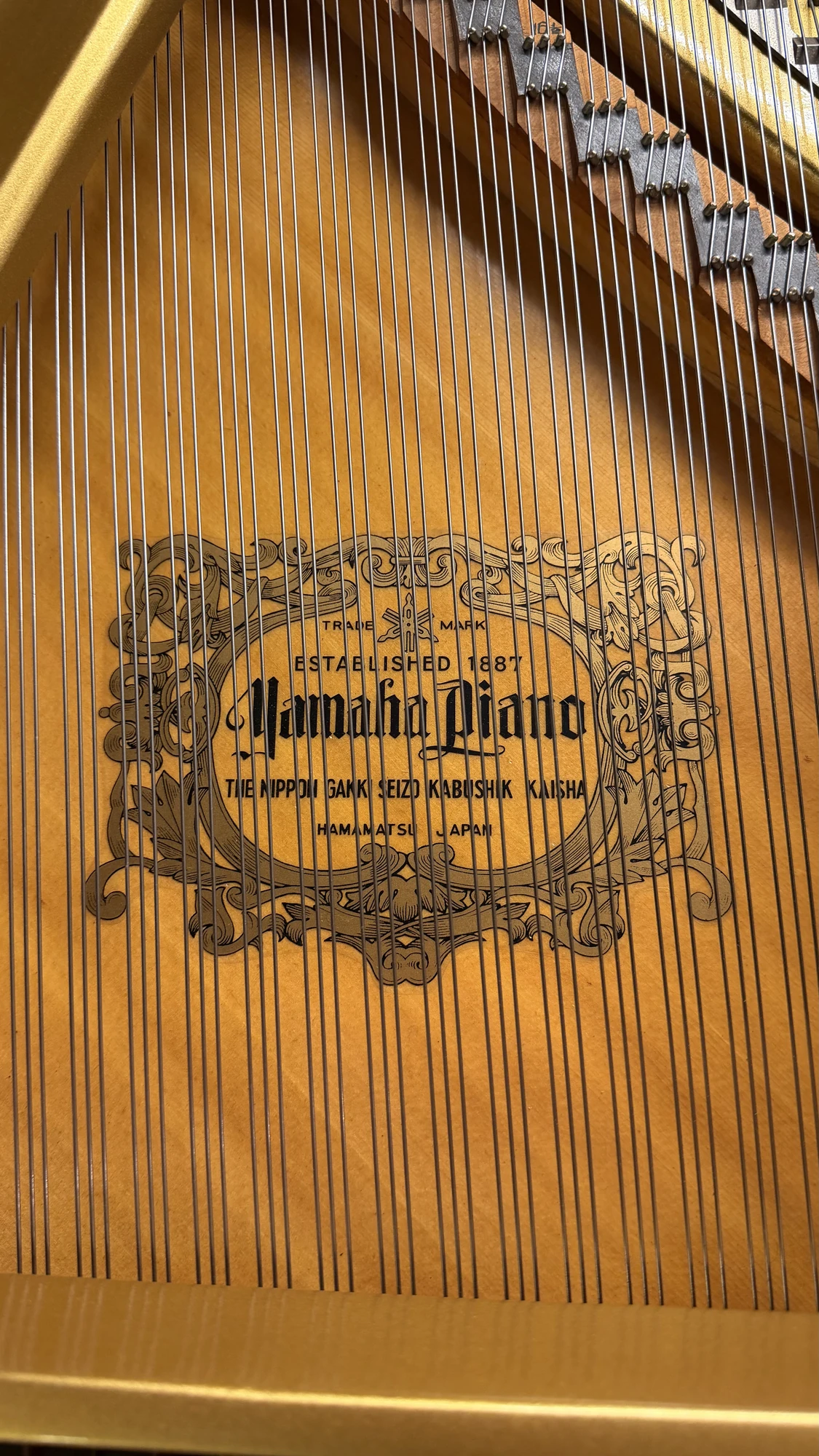 Yamaha G3, Yamaha G3, Basbous & Sons Lebanon, view 2