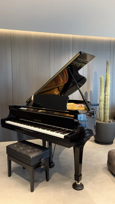 Yamaha G3, Yamaha G3 Second, Basbous & Sons Lebanon