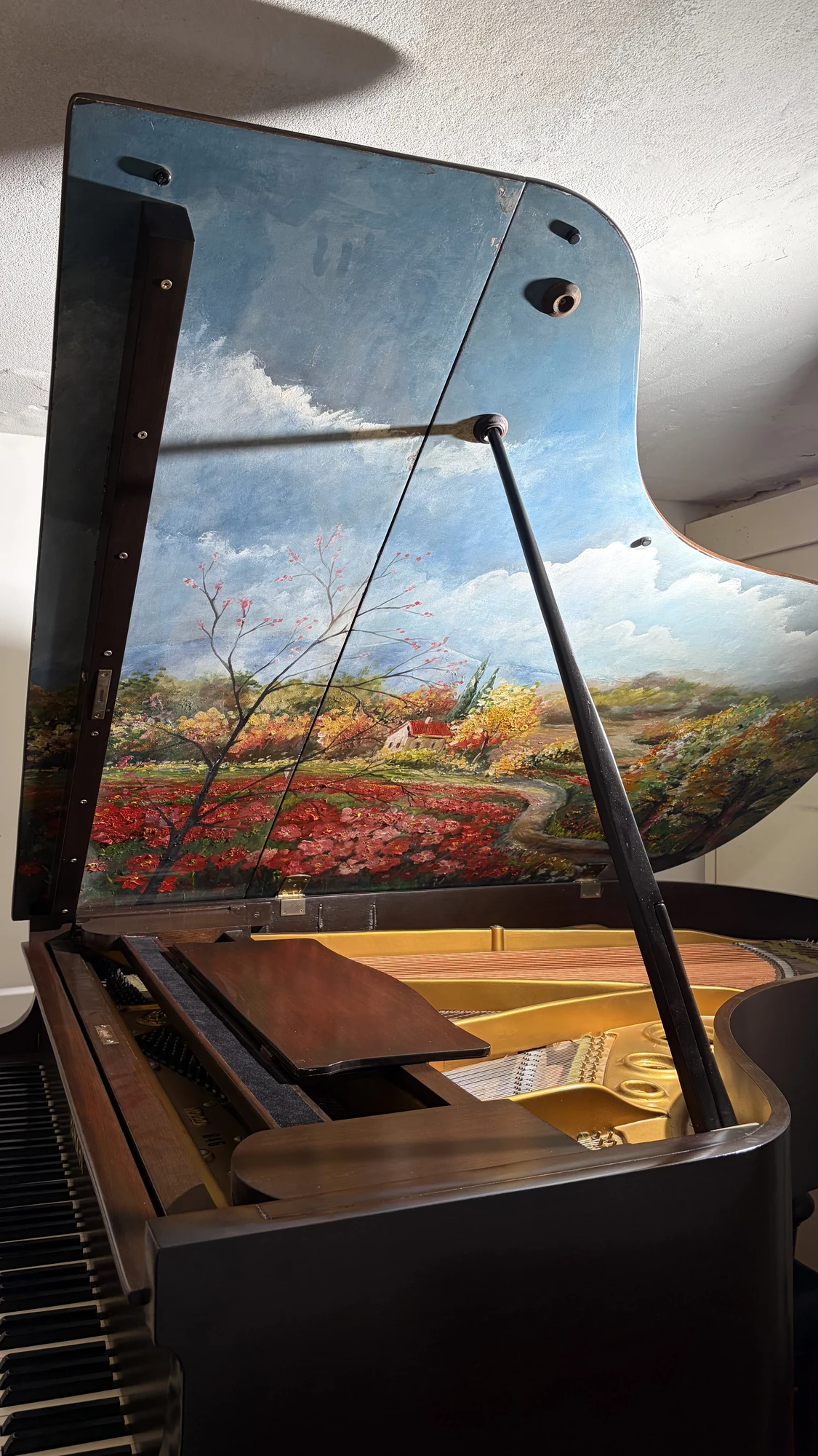 Yamaha No.20, Yamaha No.20 Art Case, Basbous & Sons Lebanon, view 1