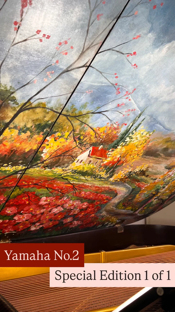 Yamaha No.2 art case, special edition, one of one, the hand-painted lid